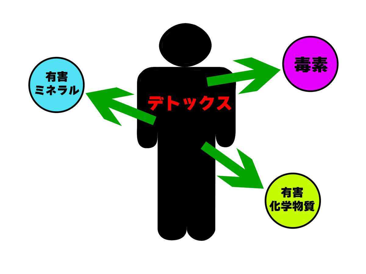 春は体を解毒する